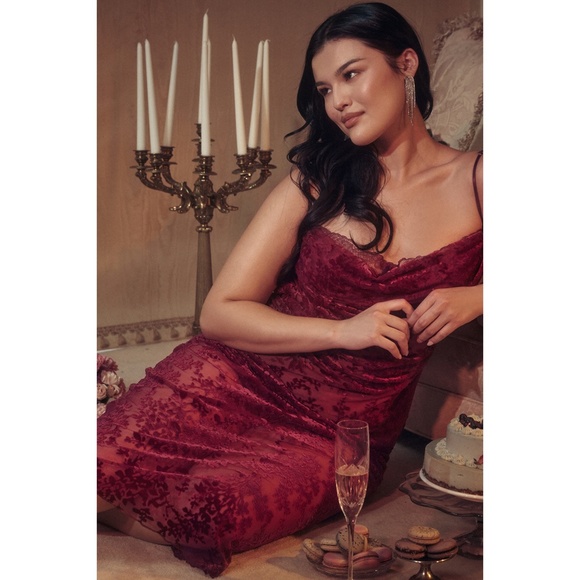 NEW House of CB Ione Devore Dress Cranberry Large+ (XL) - Picture 9 of 17